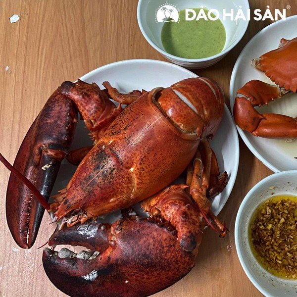 4_34c116b0d4f64458aa99fdbcba816cf2_grande